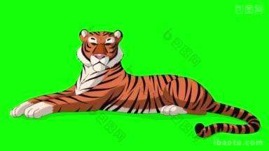 大老虎的躺和咆哮的动画<strong>运动图形</strong>孤立在绿色的屏幕上